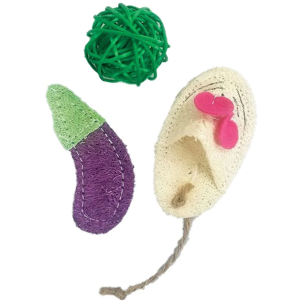 A&E Cage Company Nibbles Loofah Assortment Small Pet Toy 4 A&E Cage Company Nibbles Loofah Assortment Small Pet Toy - Image 2