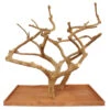 Double Java Wood Tree - Large (73"x36"x66")