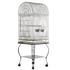 Economy Dome Top Bird Cage - Black (20"x20"x68") -Bird Supply Store economy dome top bird cage black 20 x20 x68 94