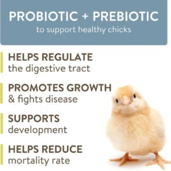 FlockLeader Arrive Daily Supplement, 8 Weeks Plus, 8-oz -Bird Supply Store flockleader arrive daily supplement 8 weeks plus 8 oz 93