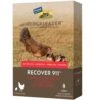 FlockLeader Recover 911 Water Supplement, 8-oz 1 FlockLeader Recover 911 Water Supplement, 8-oz -Bird Supply Store flockleader recover 911 water supplement 8 oz 74