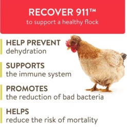 FlockLeader Recover 911 Water Supplement, 8-oz -Bird Supply Store flockleader recover 911 water supplement 8 oz 86