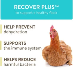 FlockLeader Recover Plus Poultry Water Supplement, 8-oz -Bird Supply Store flockleader recover plus poultry water supplement 8 oz 94