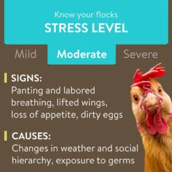 FlockLeader Recover Plus Poultry Water Supplement, 8-oz -Bird Supply Store flockleader recover plus poultry water supplement 8 oz 96