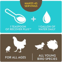 FlockLeader Recover Plus Poultry Water Supplement, 8-oz -Bird Supply Store flockleader recover plus poultry water supplement 8 oz 98