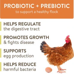 FlockLeader Thrive Daily Supplement, 8 Weeks Plus, 8-oz -Bird Supply Store flockleader thrive daily supplement 8 weeks plus 8 oz 94