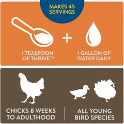 FlockLeader Thrive Daily Supplement, 8 Weeks Plus, 8-oz -Bird Supply Store flockleader thrive daily supplement 8 weeks plus 8 oz 98