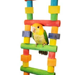 Happy Beaks Toy - Wood Block Ladder (Small) 9 Happy Beaks Toy - Wood Block Ladder (Small) -Bird Supply Store happy beaks toy wood block ladder small 99