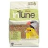 Higgins InTune Canary & Finch Food, 2-lb Bag 1 Higgins InTune Canary & Finch Food, 2-lb Bag -Bird Supply Store higgins intune canary finch food 2 lb bag 58