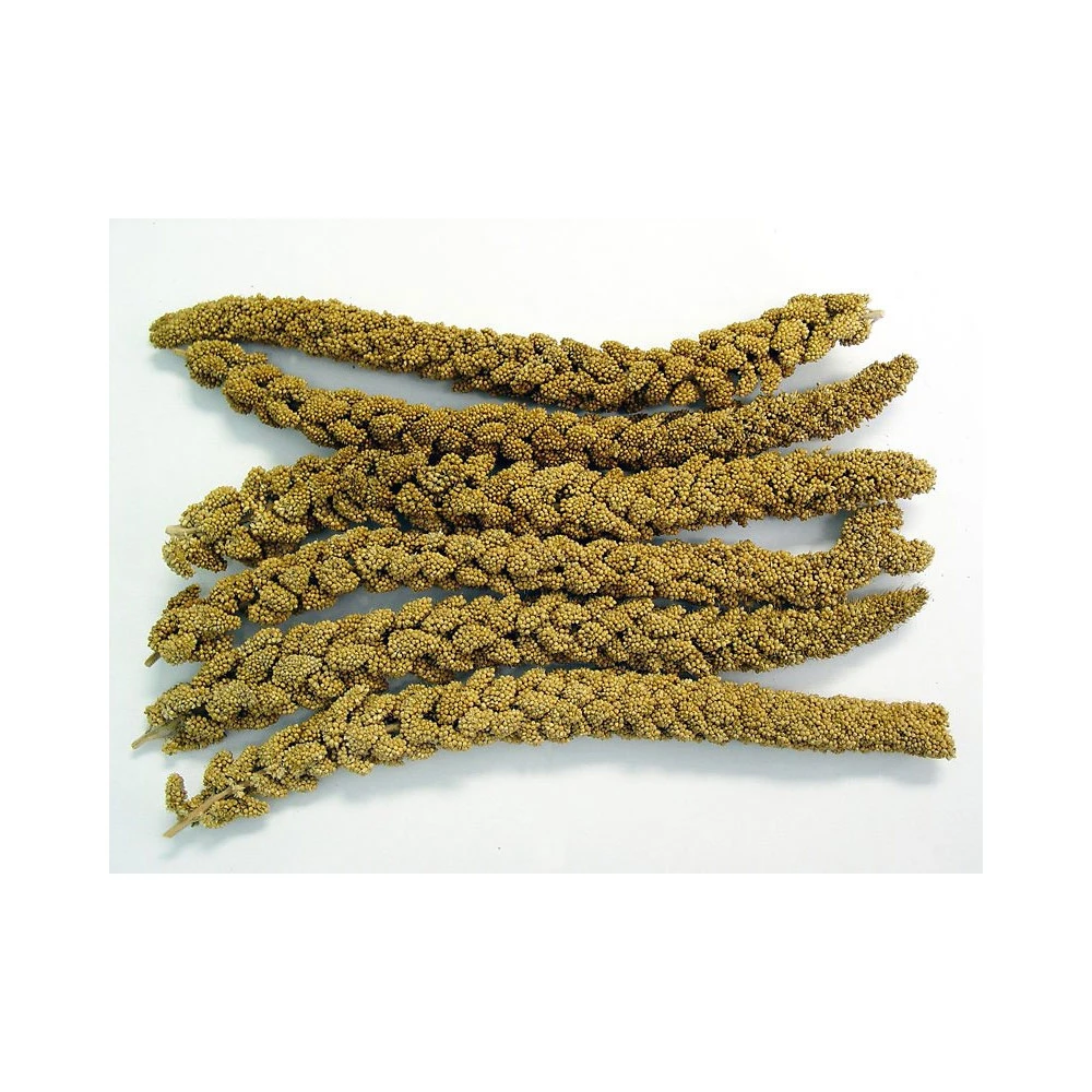 Higgins Spray Millet Bird Treats 25-lb Bag 4 Higgins Spray Millet Bird Treats 25-lb Bag - Image 2