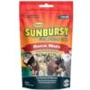 Higgins Sunburst Boca Nuts Gourmet Treats, 5-oz -Bird Supply Store higgins sunburst boca nuts gourmet treats 5 oz 56