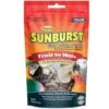 Higgins Sunburst Fruit To Nuts Gourmet Treats, 5-oz -Bird Supply Store higgins sunburst fruit to nuts gourmet treats 5 oz 56