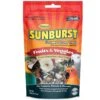 Higgins Sunburst Fruits & Veggies Gourmet Treats Large, 5-oz Bag -Bird Supply Store higgins sunburst fruits veggies gourmet treats large 5 oz bag 56