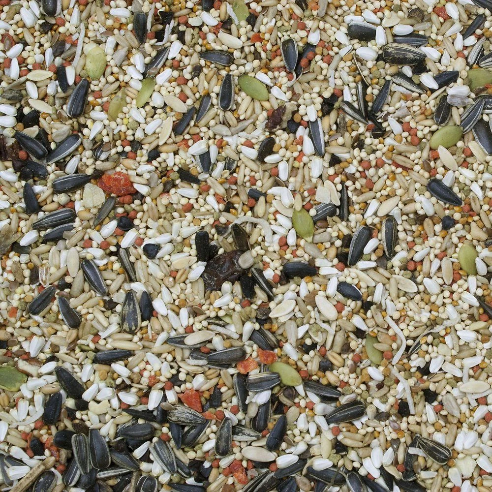 Higgins Sunburst Gourmet Blend Cockatiel Food, 25-lb Bag 4 Higgins Sunburst Gourmet Blend Cockatiel Food, 25-lb Bag - Image 2