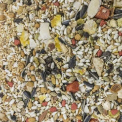 Higgins Sunburst Gourmet Blend Conure Food, 25-lb Bag -Bird Supply Store higgins sunburst gourmet blend conure food 25 lb bag 61