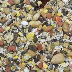 Higgins Sunburst Gourmet Blend Parrot Food, 25-lb Bag -Bird Supply Store higgins sunburst gourmet blend parrot food 25 lb bag 69