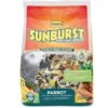 Higgins Sunburst Gourmet Blend Parrot Food, 3-lb Bag -Bird Supply Store higgins sunburst gourmet blend parrot food 3 lb bag 62