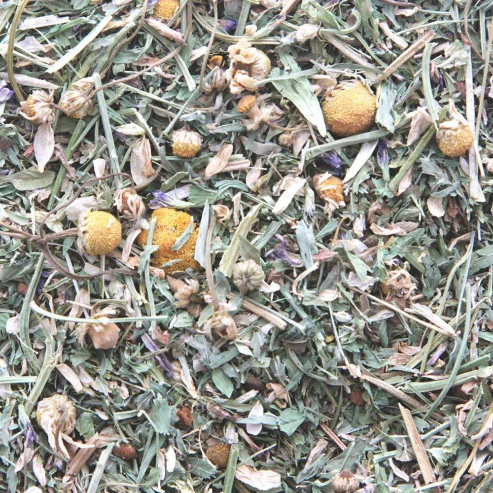 Higgins Sunburst Leafy Greens & Herbs Gourmet Treats, 1-oz 4 Higgins Sunburst Leafy Greens & Herbs Gourmet Treats, 1-oz - Image 2