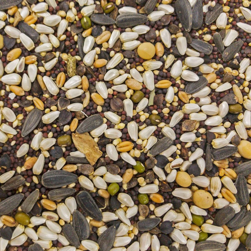 Higgins Sunburst Soak N' Sprout Gourmet Treats, 3-oz 4 Higgins Sunburst Soak N' Sprout Gourmet Treats, 3-oz - Image 2