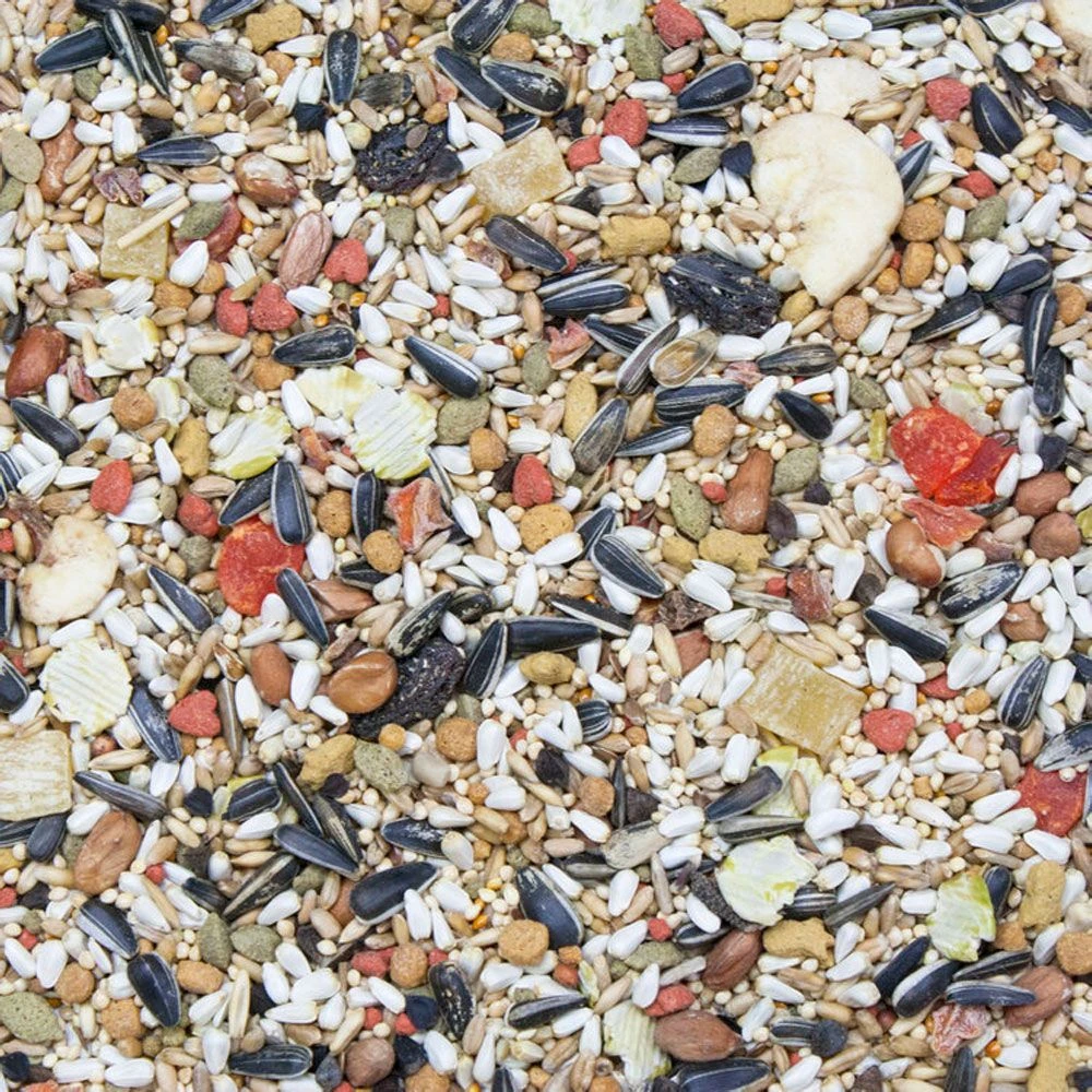 Higgins Vita Seed Conure & Lovebird Food, 5-lb Bag 3 Higgins Vita Seed Conure & Lovebird Food, 5-lb Bag - Image 2