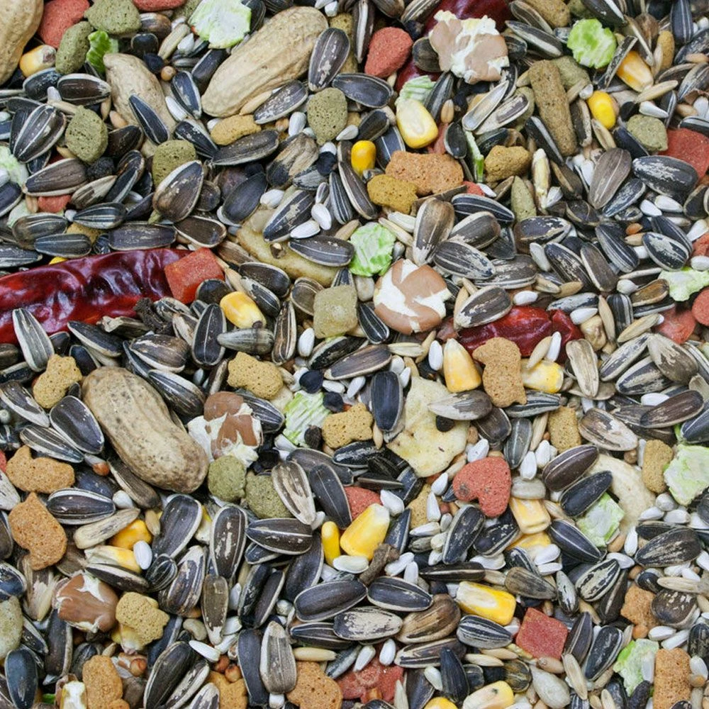 Higgins Vita Seed Parrot Food, 25-lb Bag 4 Higgins Vita Seed Parrot Food, 25-lb Bag - Image 2