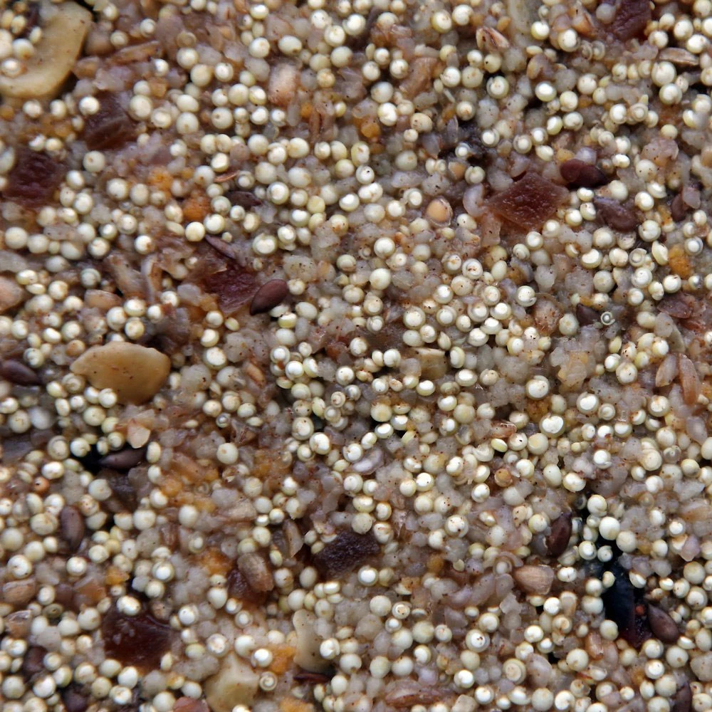 Higgins Worldly Cuisines African Sunset Bird Treats, 2-oz Bag 4 Higgins Worldly Cuisines African Sunset Bird Treats, 2-oz Bag - Image 2