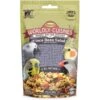 Higgins Worldly Cuisines Inca Bean Salad Bird Treats, 2-oz