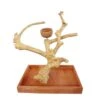 Java Wood Table Top Play Stand (15"x10"x15") -Bird Supply Store java wood table top play stand 15 x10 x15 55
