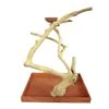 Java Wood Table Top Play Stand (22"x14"x22") -Bird Supply Store java wood table top play stand 22 x14 x22 57