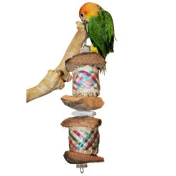 Java Wood Toy - Surprise Drum (Small) 7 Java Wood Toy - Surprise Drum (Small) -Bird Supply Store java wood toy surprise drum small 96