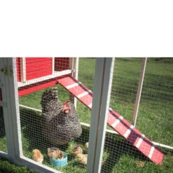 New Age Pet Sonoma Chicken Coop With Pen Red/Maple (29" L X 81.60" W X 41.70" H) -Bird Supply Store new age pet sonoma chicken coop with pen red maple 29 l x 81 60 w x 41 70 h 118