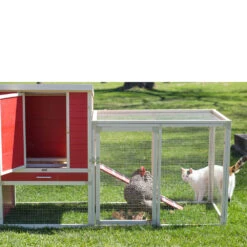 New Age Pet Sonoma Chicken Coop With Pen Red/Maple (29" L X 81.60" W X 41.70" H) -Bird Supply Store new age pet sonoma chicken coop with pen red maple 29 l x 81 60 w x 41 70 h 120