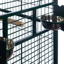 Play Top Bird Cage With 1" Bar Spacing - Green (40"x30"75") 7 Play Top Bird Cage With 1" Bar Spacing - Green (40"x30"75") -Bird Supply Store play top bird cage with 1 bar spacing green 40 x30 75 79