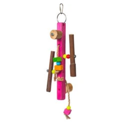 Prevue Bodacious Bites Spinner Bird Toy