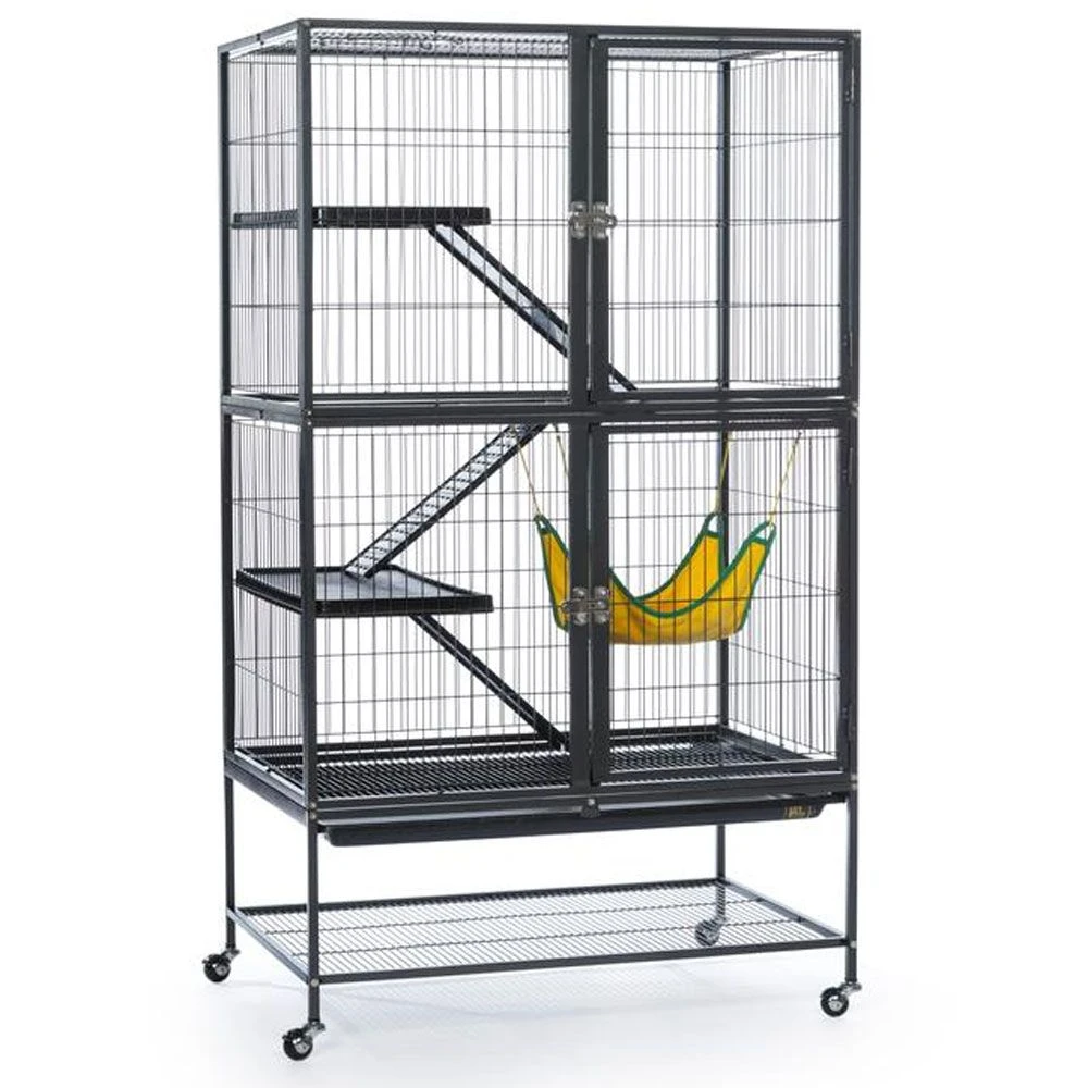 Prevue Feisty Ferret Home 3 Prevue Feisty Ferret Home