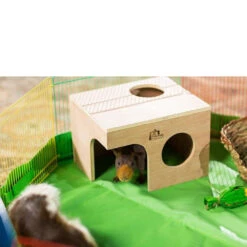 Prevue Large Wood Guinea Pig Hut 7 Prevue Large Wood Guinea Pig Hut -Bird Supply Store prevue large wood guinea pig hut 63