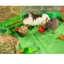 Prevue Multicolor Pet Playpen For Small Animals 12 Prevue Multicolor Pet Playpen For Small Animals -Bird Supply Store prevue multicolor pet playpen for small animals 102