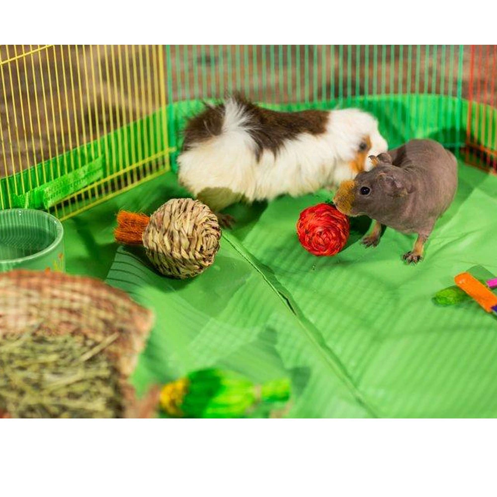 Prevue Multicolor Pet Playpen For Small Animals 6 Prevue Multicolor Pet Playpen For Small Animals - Image 4