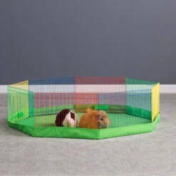 Prevue Multicolor Pet Playpen For Small Animals 13 Prevue Multicolor Pet Playpen For Small Animals -Bird Supply Store prevue multicolor pet playpen for small animals 104