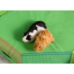 Prevue Multicolor Pet Playpen For Small Animals 15 Prevue Multicolor Pet Playpen For Small Animals -Bird Supply Store prevue multicolor pet playpen for small animals 108