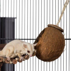 Prevue Naturals Coco Hideaway For Birds 7 Prevue Naturals Coco Hideaway For Birds -Bird Supply Store prevue naturals coco hideaway for birds 63