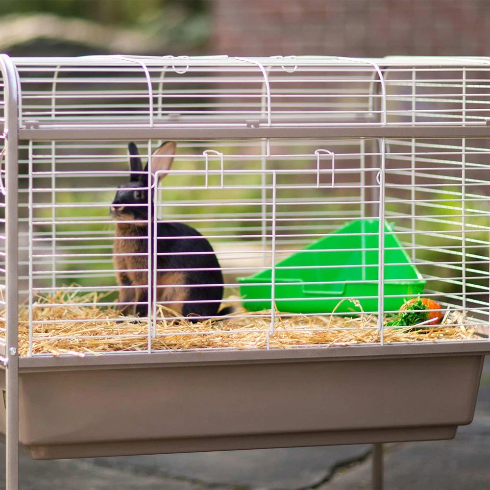 Prevue Plastic Corner Litter Pans For Small Animals 6 Prevue Plastic Corner Litter Pans For Small Animals - Image 4