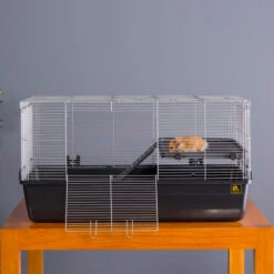 Prevue Small Animal Home 15 Prevue Small Animal Home -Bird Supply Store prevue small animal home 103