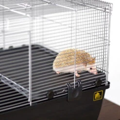 Prevue Small Animal Home 18 Prevue Small Animal Home -Bird Supply Store prevue small animal home 109