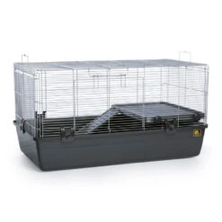 Prevue Small Animal Home