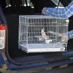 Prevue Travel Cage White For Birds -Bird Supply Store prevue travel cage white for birds 109