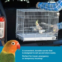 Prevue Travel Cage White For Birds -Bird Supply Store prevue travel cage white for birds 117