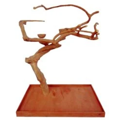 Single Java Tree (48"x32"x66")