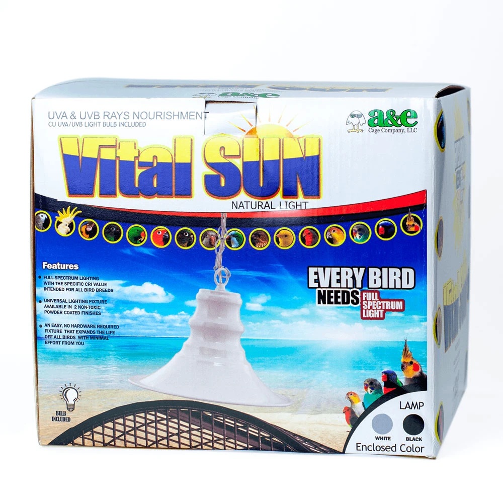 Vital Light With Chain - Black 4 Vital Light With Chain - Black - Image 2