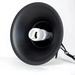 Vital Light With Chain - White -Bird Supply Store vital light with chain white 71